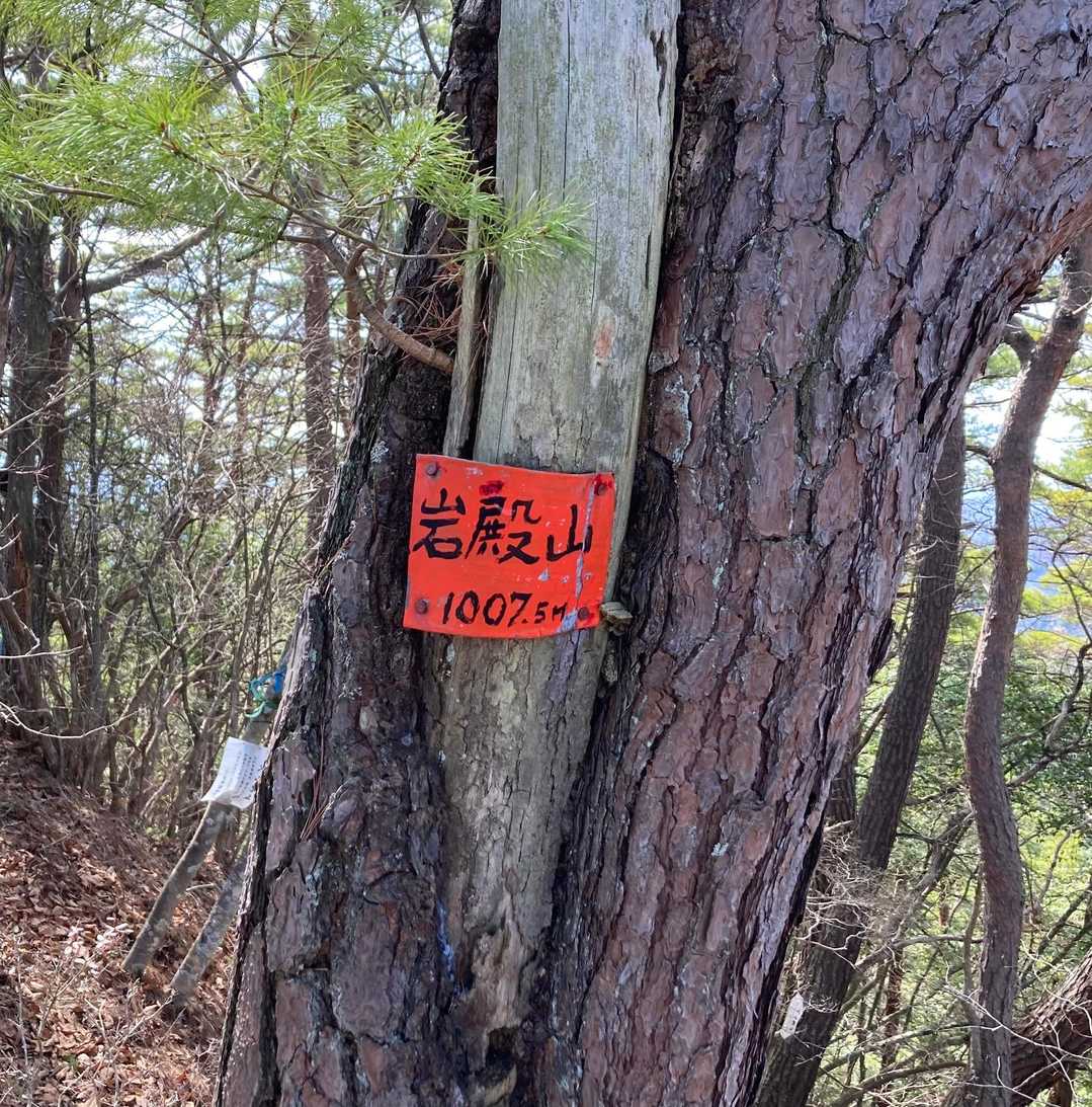 地味な山頂