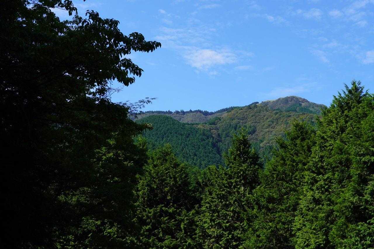 2キロ程の車道歩き🚶‍♀️💦
右端が千ケ峰