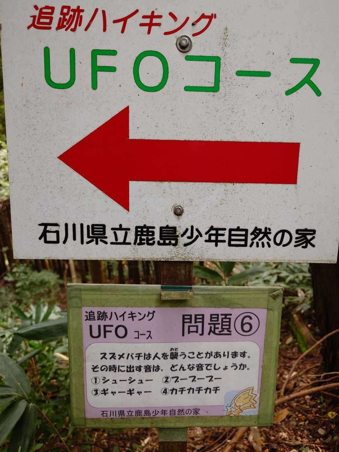 ヤマップ推奨ルートはUFOコースのようだね😊