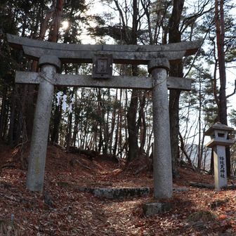 蜂城山　木に覆われて笛吹市の桃畑は見えず(つд⊂)ｴｰﾝ