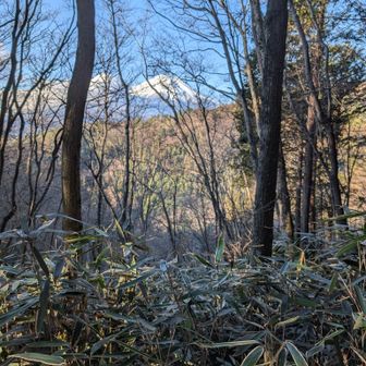 おっ、見えてきたかな🗻