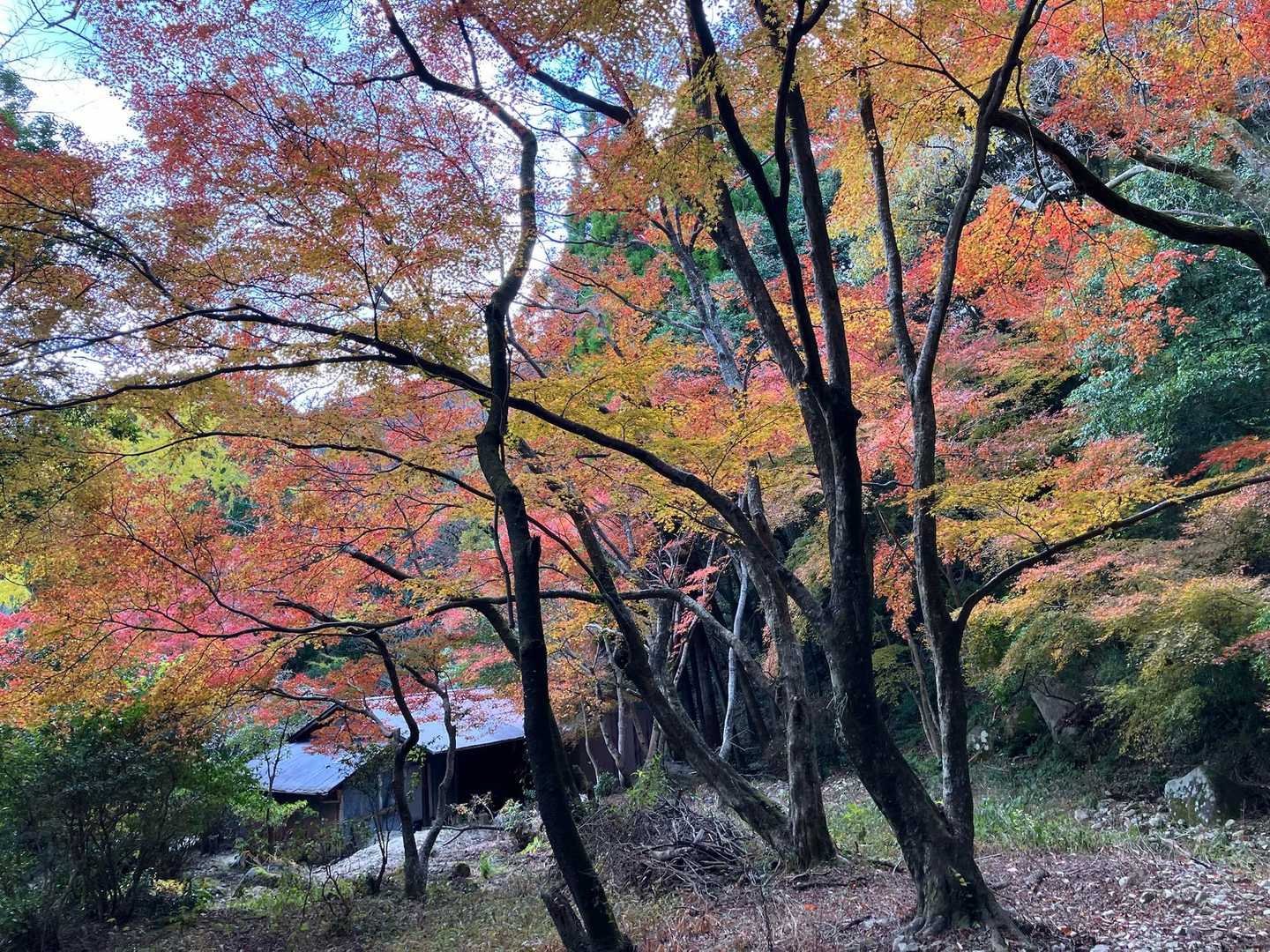 周回して安全祈願した神社の裏手に戻ってきました