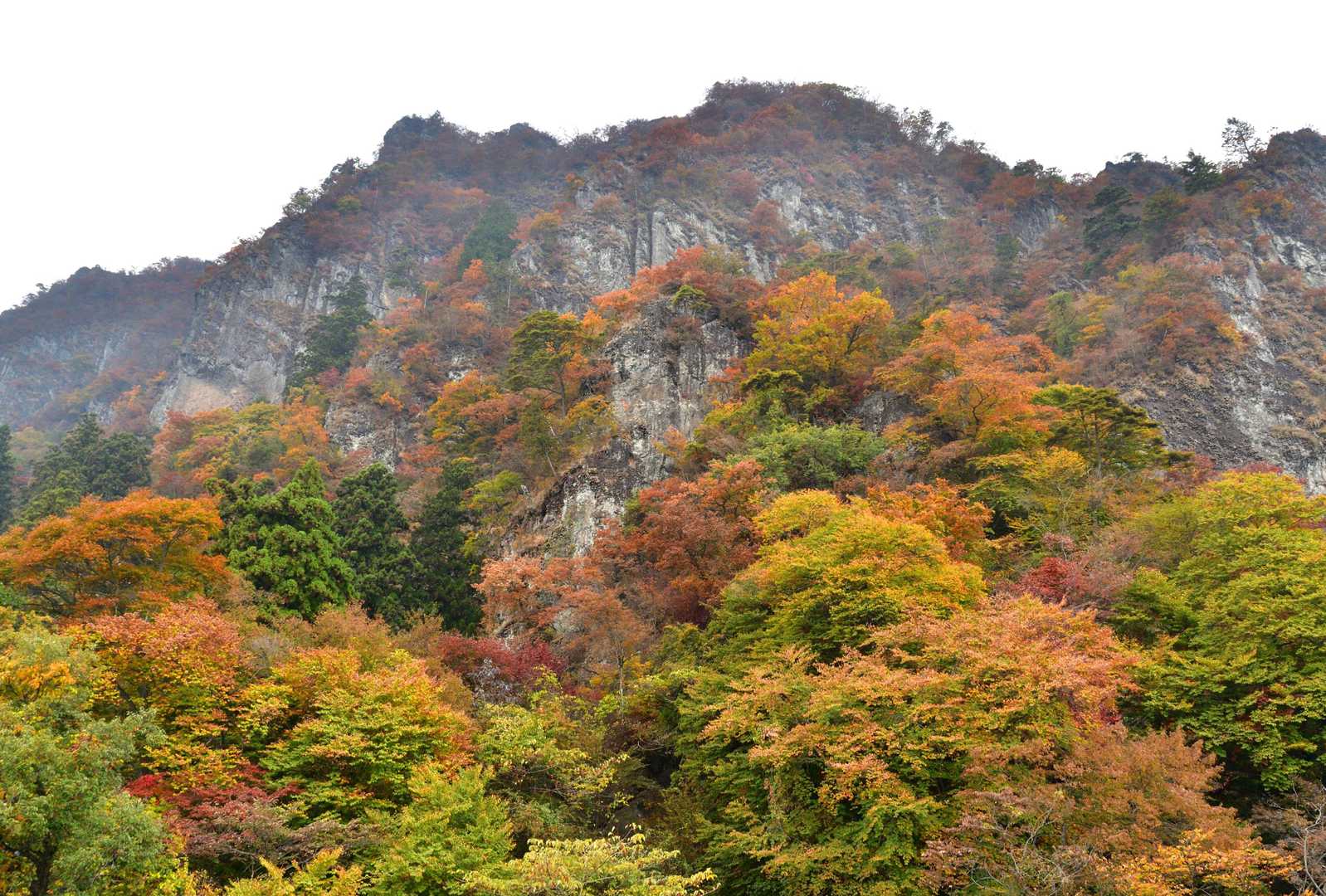 紅葉前線最前列🍂🌿🍁