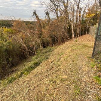 来週はYAMAPでお誘いした方々の応援があります。宜しくお願いします。