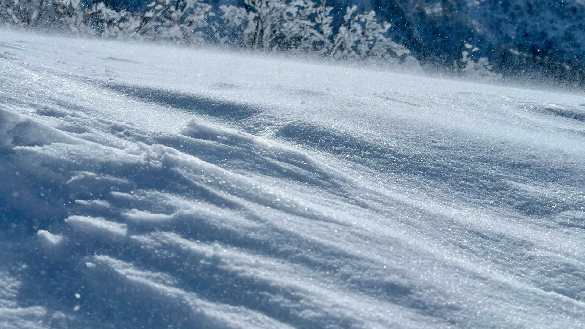 この辺りの雪はパウダースノー。風に吹きとばされる様はまさに海岸の砂粒のようで綺麗だった。
