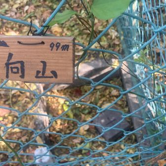 三角点は柵の中に・・・😱