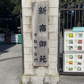 今回は入れるぞ❗️