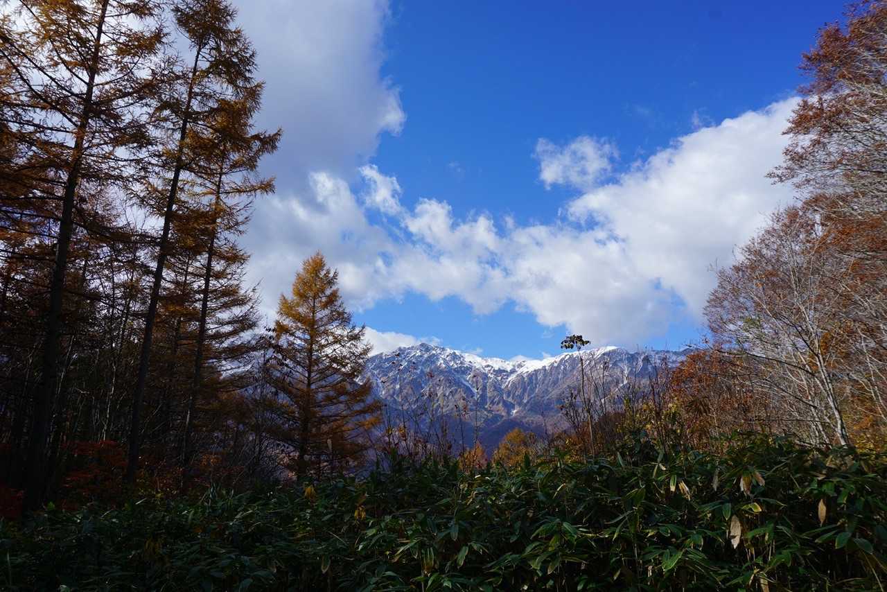 紅葉の奥に雪山
