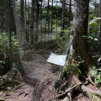 せっかくなので地獄谷に寄ってみることにしました
防護柵を開けて入ります
地獄谷というから硫黄の匂いがする立山室堂のようなところかと思っていたら…