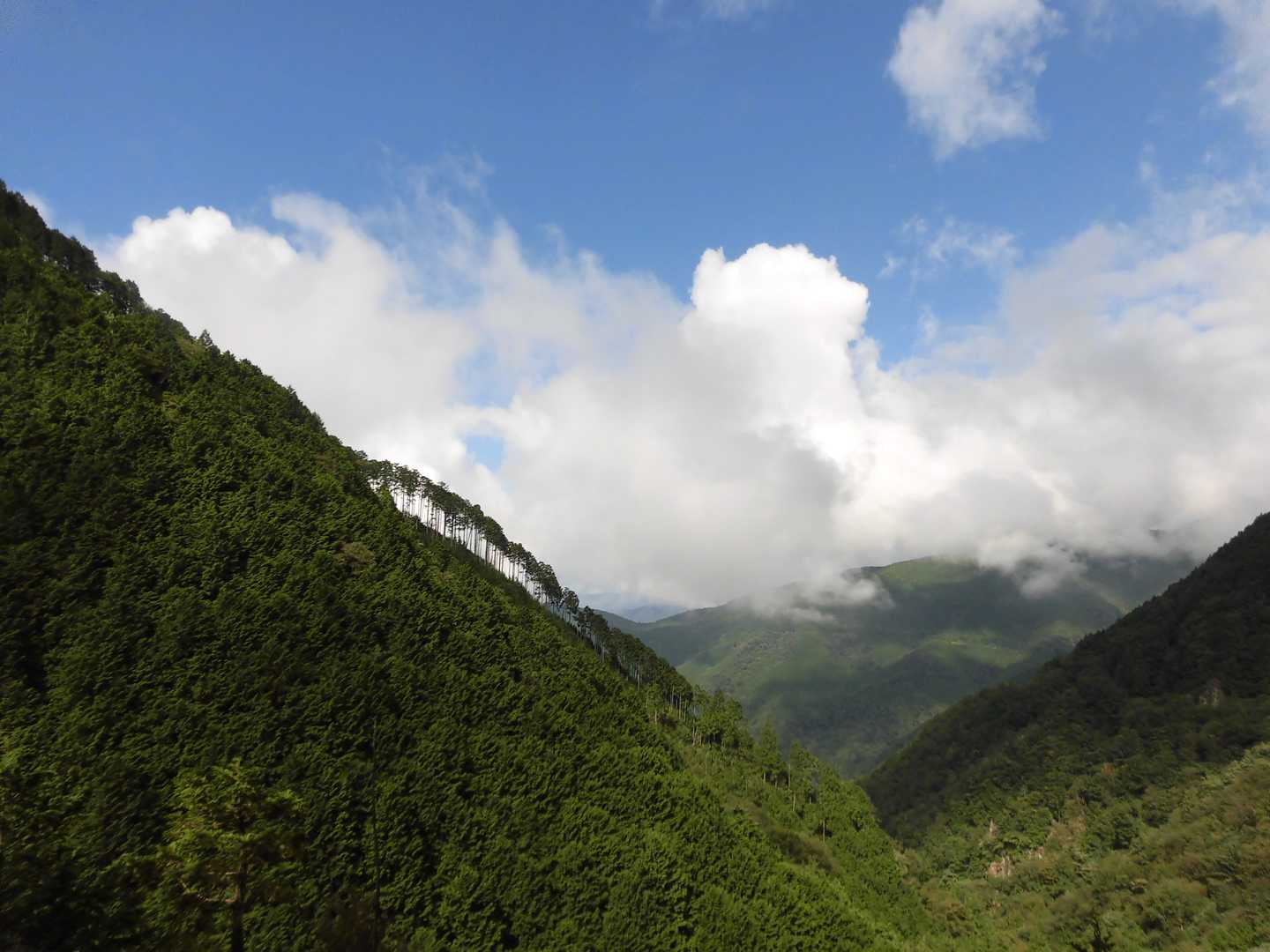 黒谷林道入口-白草山 往復コースの写真