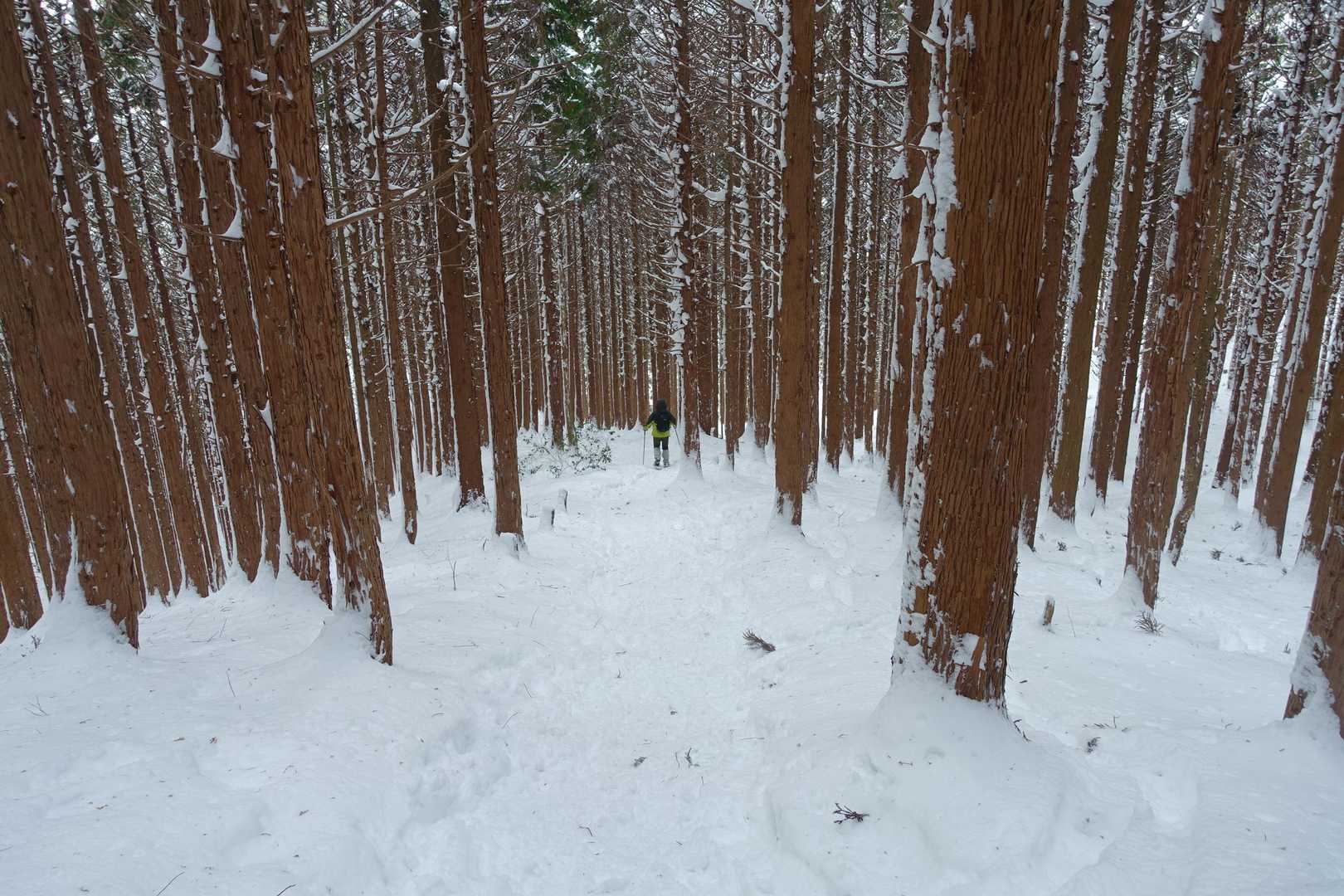 小休憩の後、
谷コースから下山したけど