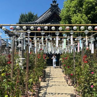 風鈴とお花がたくさん
