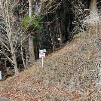 ここから転がり出てきた感じ〜🫨