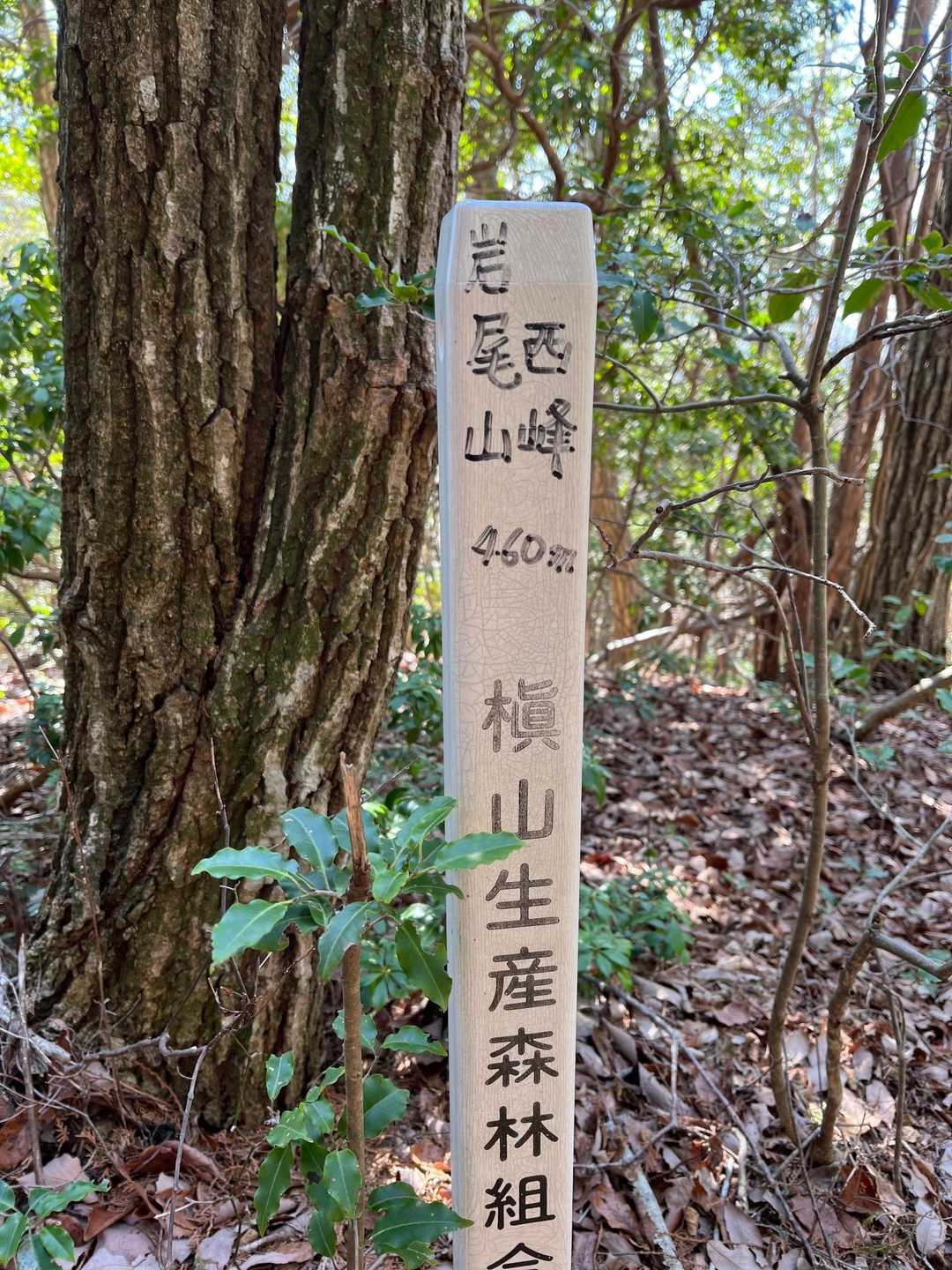 次のピークは岩尾山の西峰です！