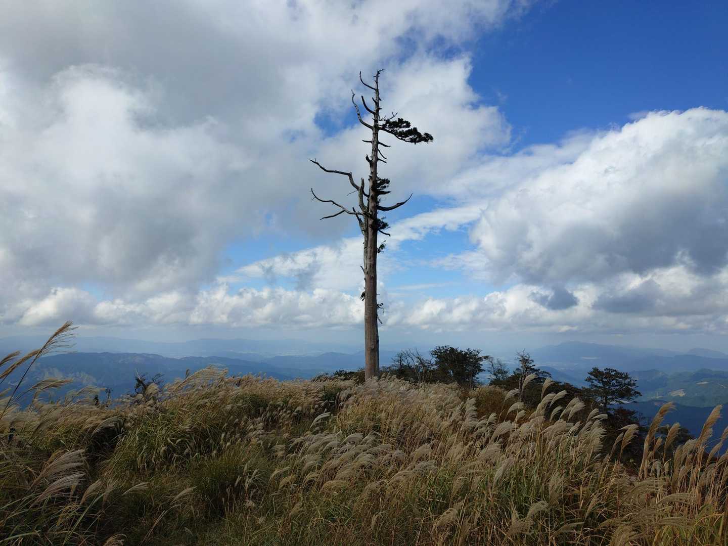 英彦山（中岳） 往復コースの写真