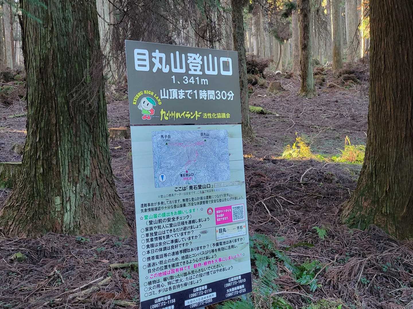 スタートです✊