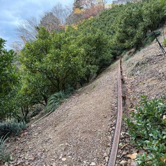 みかんを運ぶモノレール