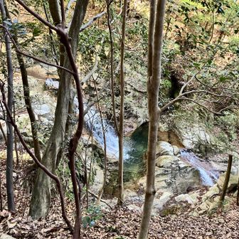 滝もありました💧ゴールも近いです