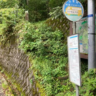 バス停前から登山道へ。草が繁っていますが、ここだけ。階段を上がれば、歩きやすい道です。