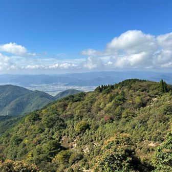 ええ天気です