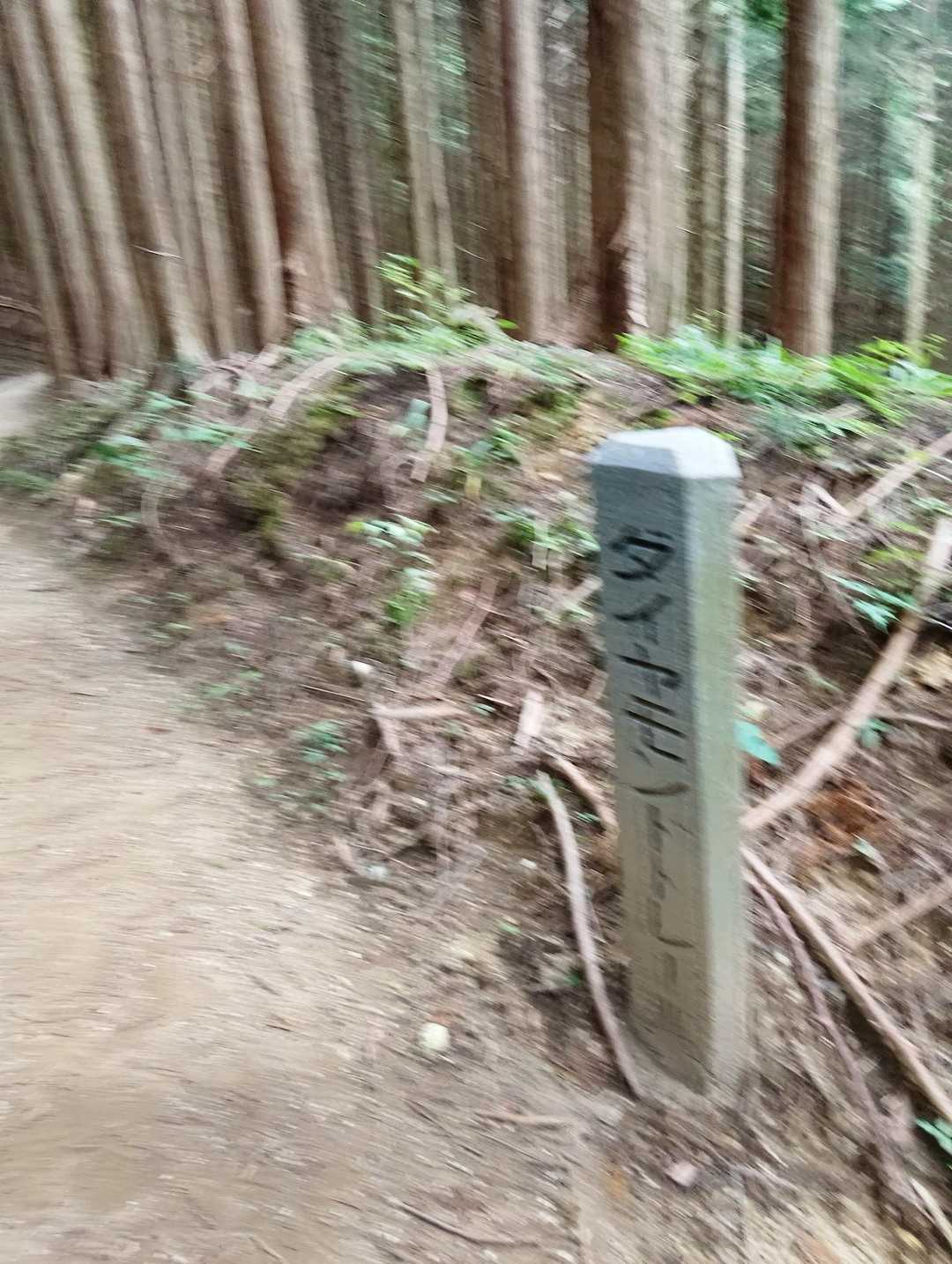 ダイトレの石標