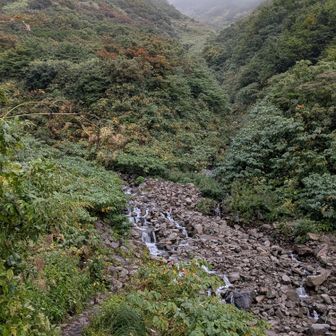 沢を渡る
