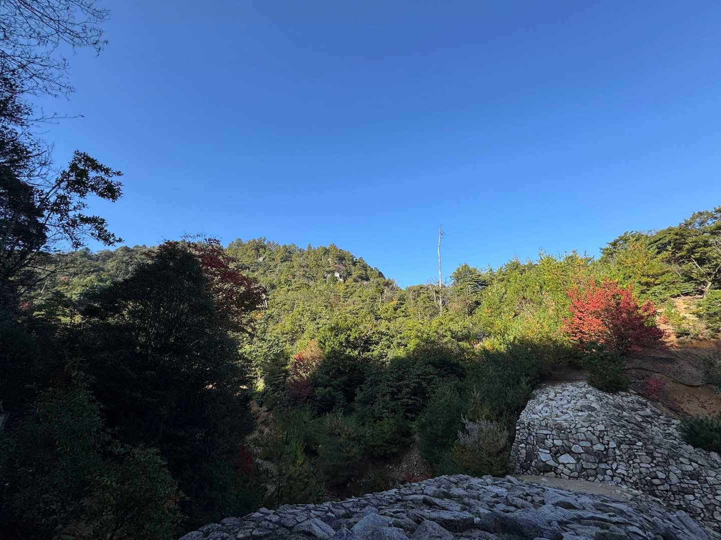 紅葉谷-弥山-大聖院 周回コースの写真