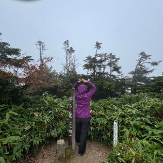 びしょびしょになりながら、到着。
何も見えません😥