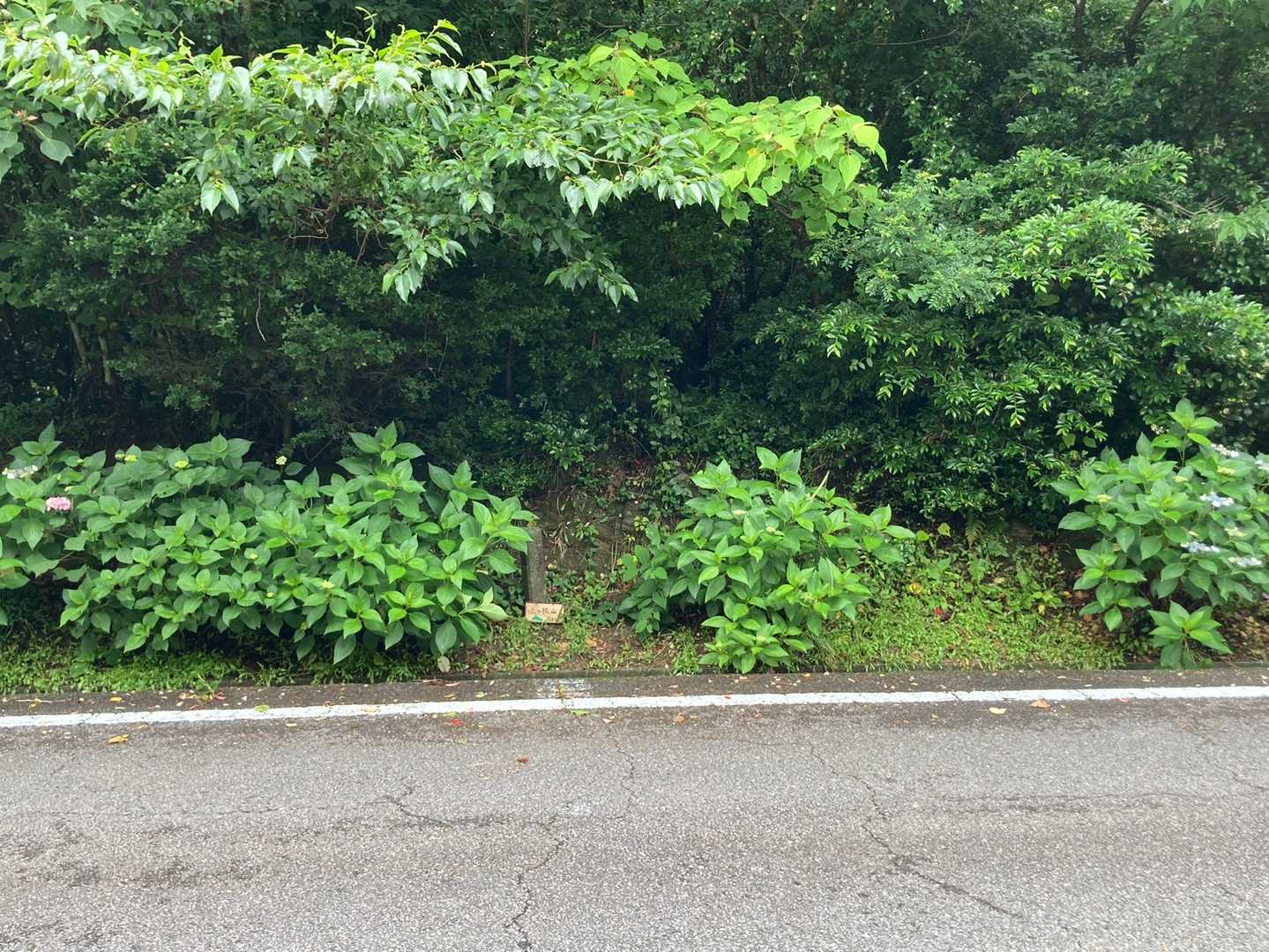 　　　　　　　ここ↑