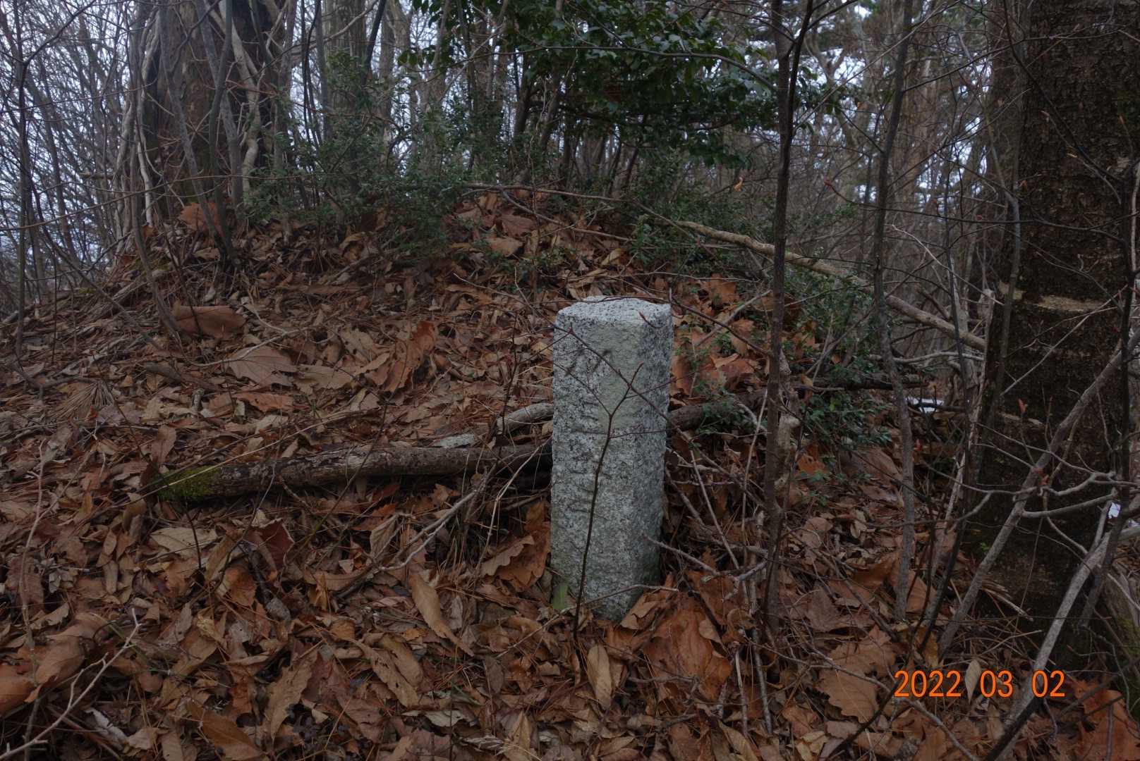 この辺が森田山山頂。三角点もなーんもない。