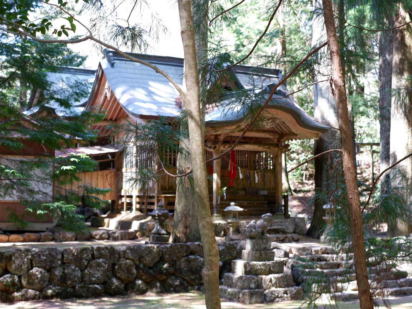 杉原神社⛩️