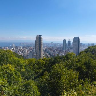 見晴らし台からの景色もヨシ