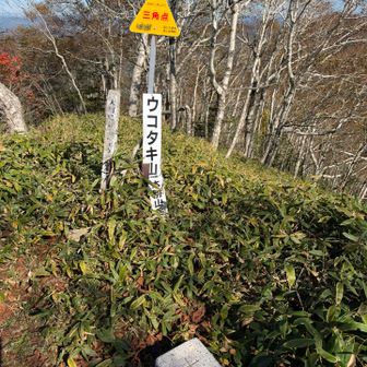 のんびり歩いて到着