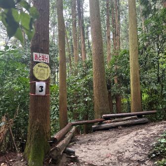 3番休憩所を通り抜け