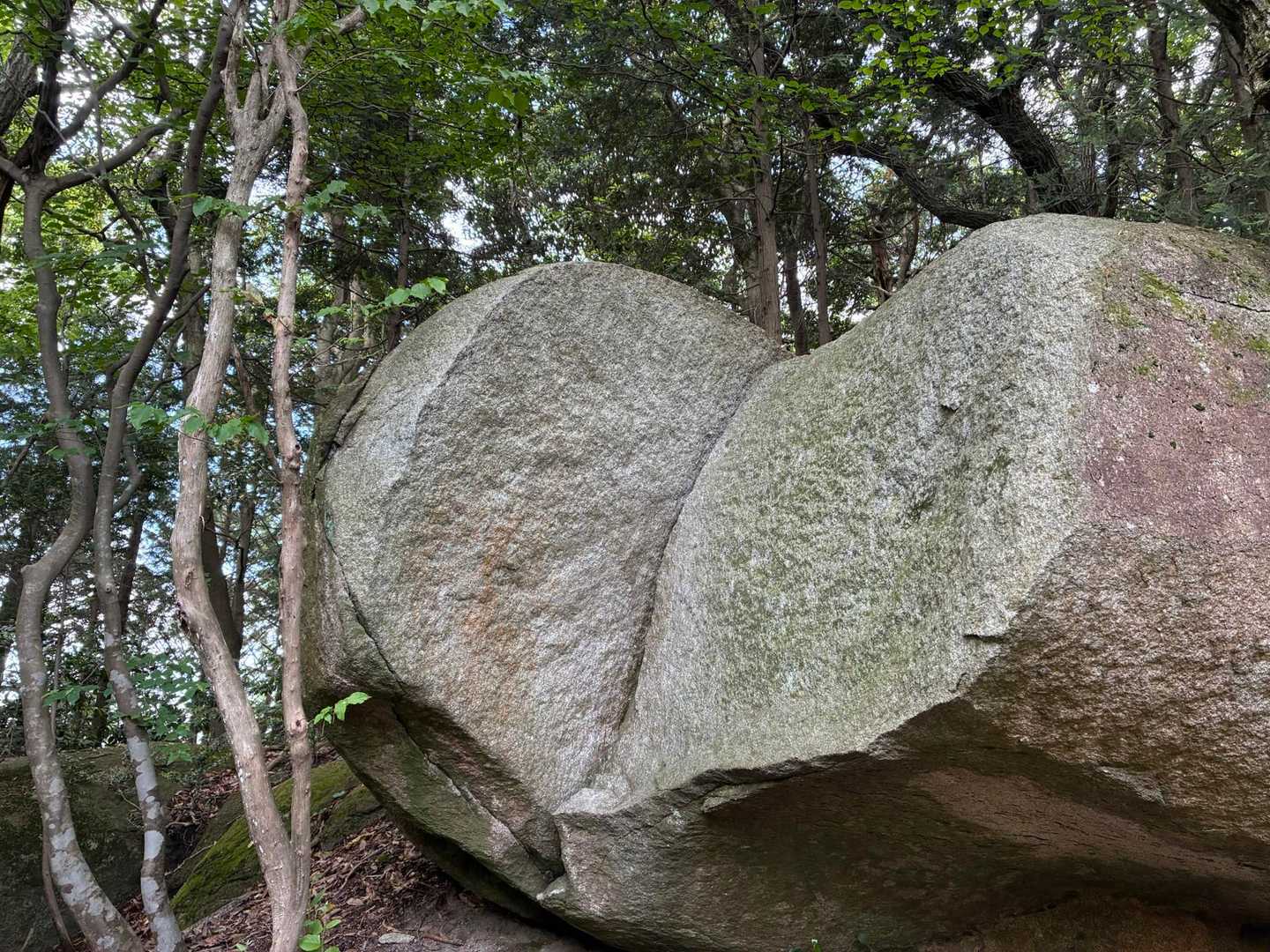 片江山-妙見山-油山 往復コースの写真