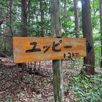 ユッピー(笑)
何ともそそられるネーミングの看板だな〜と思って撮った写真です🤭

ユッピーとは、羽黒山の中腹にある
ユッピーの森とゆう季節毎の山野草が咲く、自然を活かした公園のようです😊