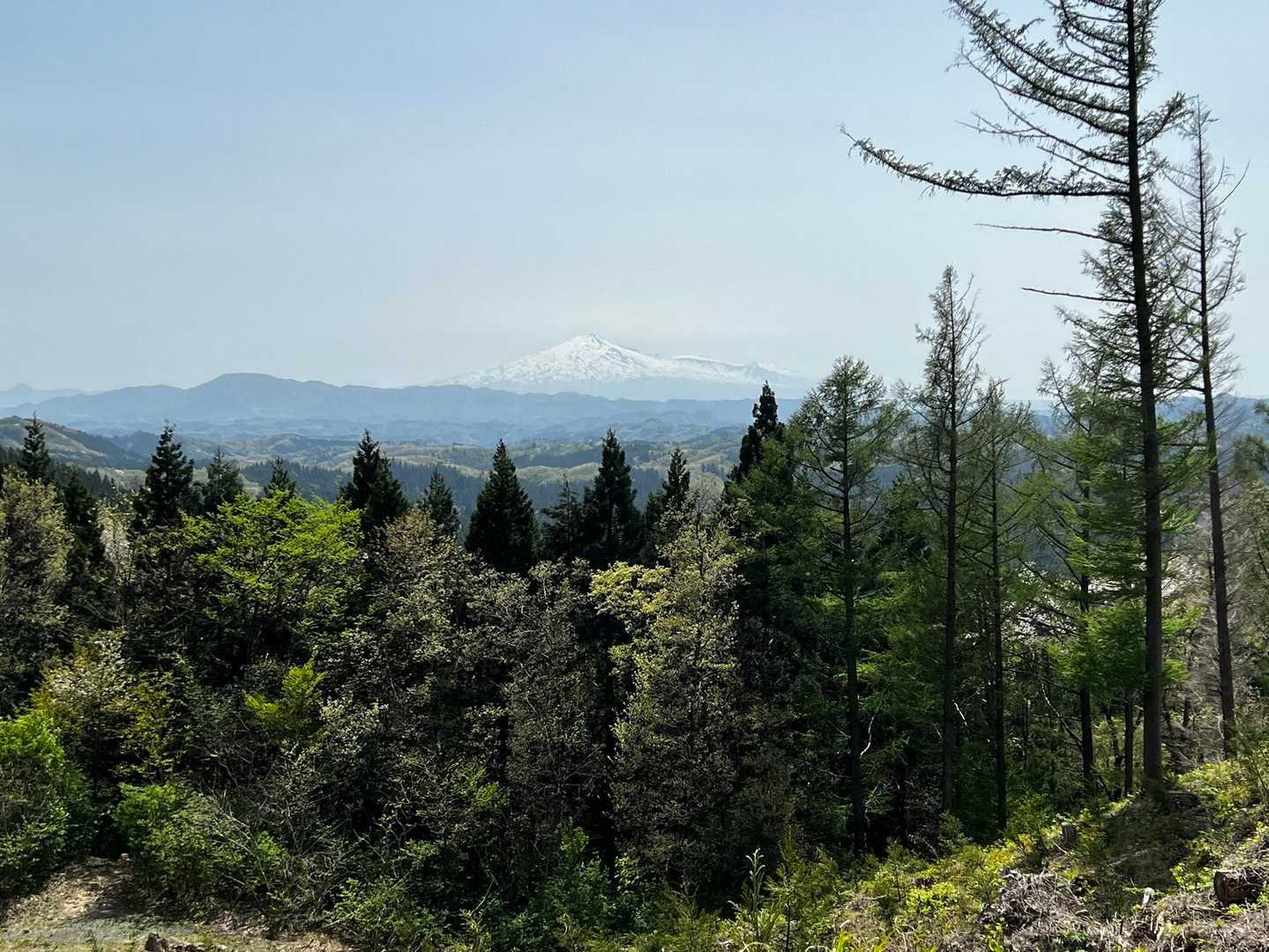 保呂羽山 周回コースの写真