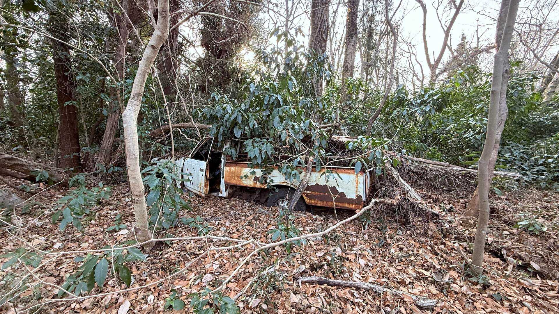 こんなところに車🚙が•••
道なさそうなのにどうやってきたんだろう🤔