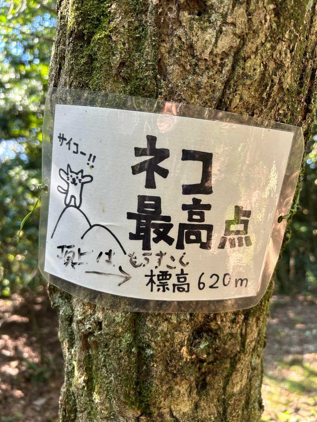 菰野富士登山口-ネコ最高点-ネコ-笠岳-菰野富士 周回コースの写真