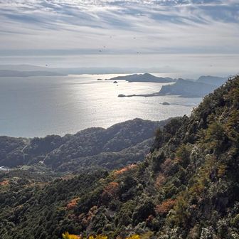 海のキラキラ🤩