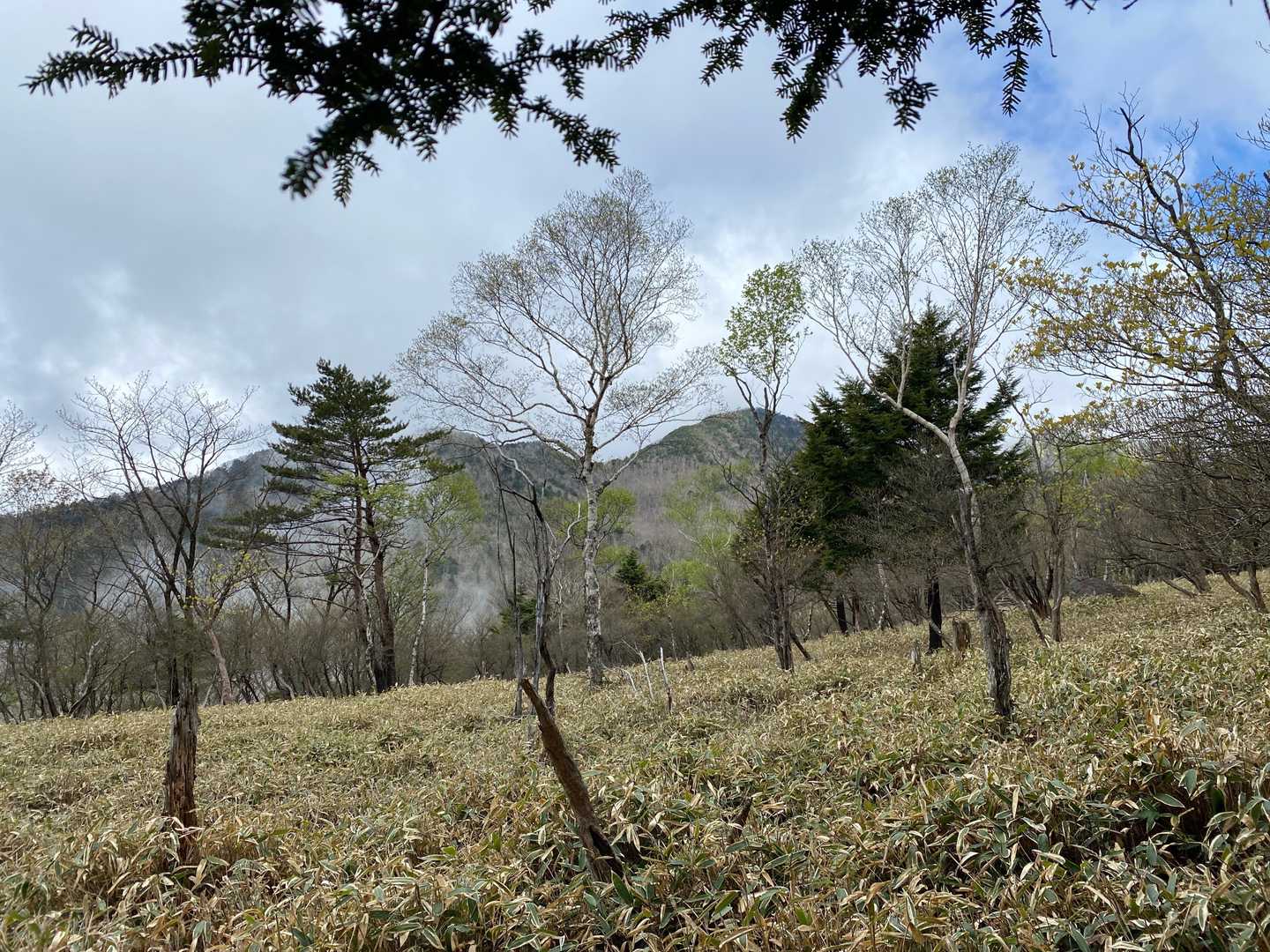 袈裟丸山ですね！
