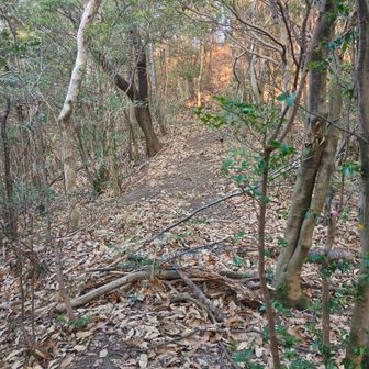 ん？こっちか？