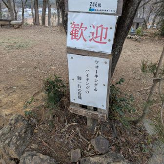 ウォーキング　ハイキング…