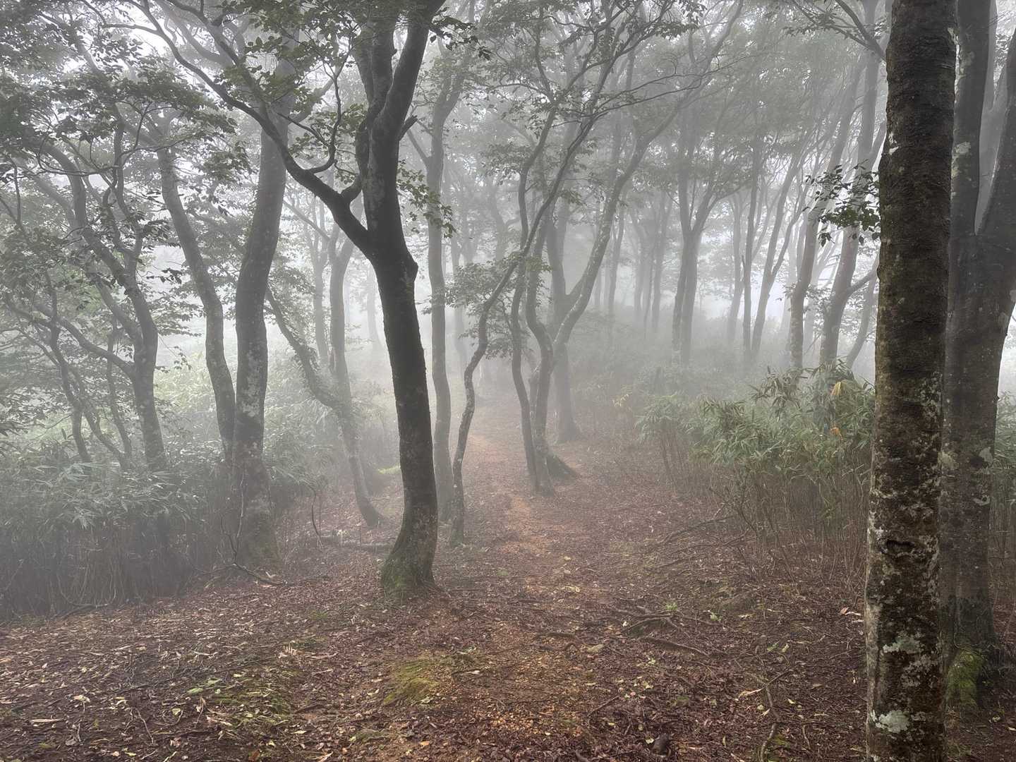 ガスガス⛈️⛈️