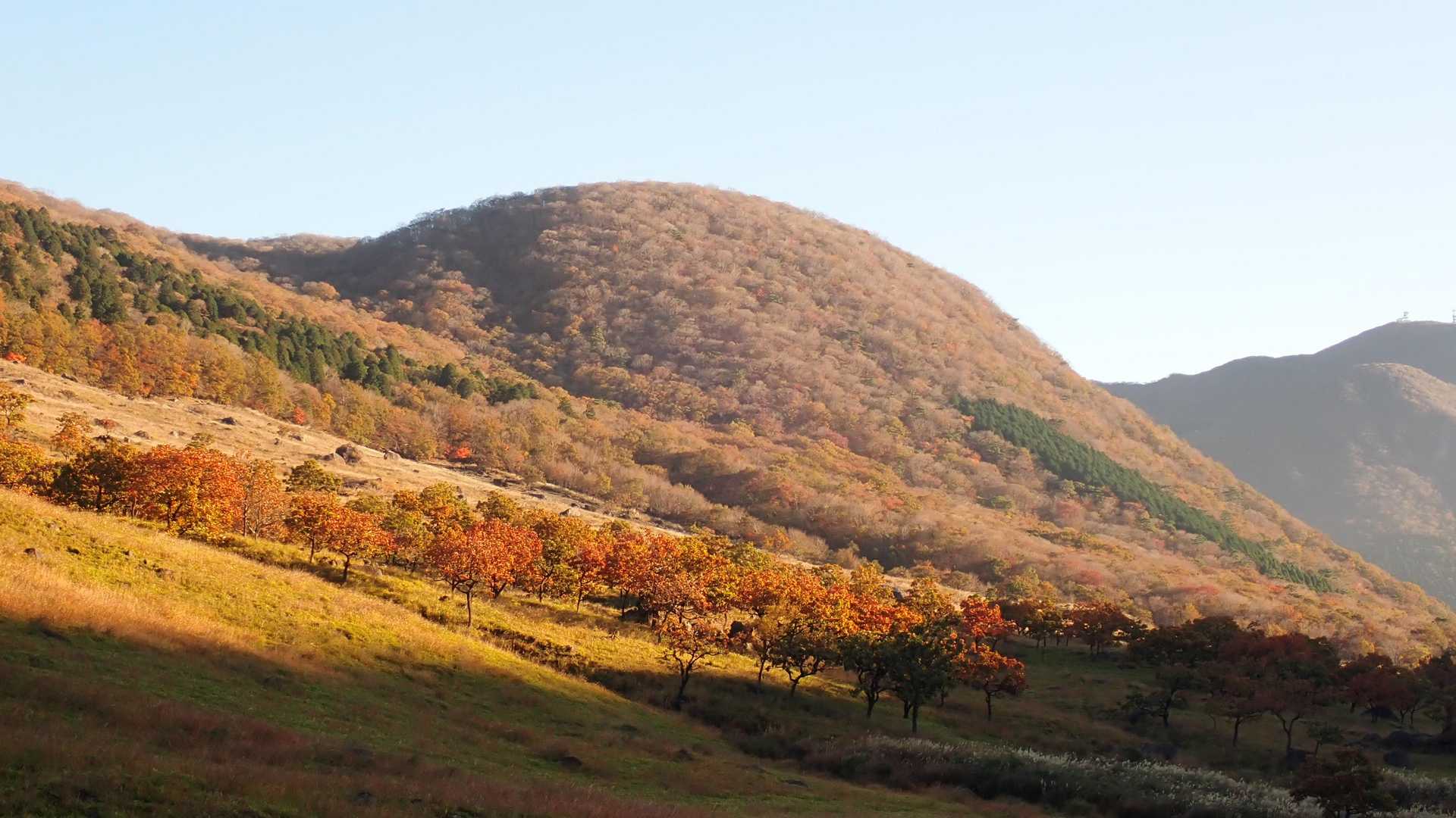 由布岳の麓にある日向岳を散策します、この丸っこい山ね😊