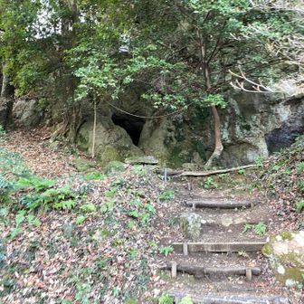 なんかいそうだし、日が傾いてきたから急ぎます。