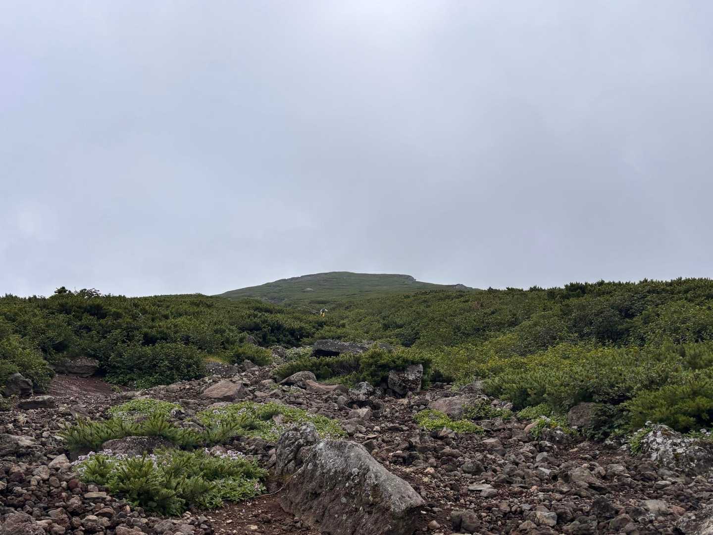山頂手前は二段構え