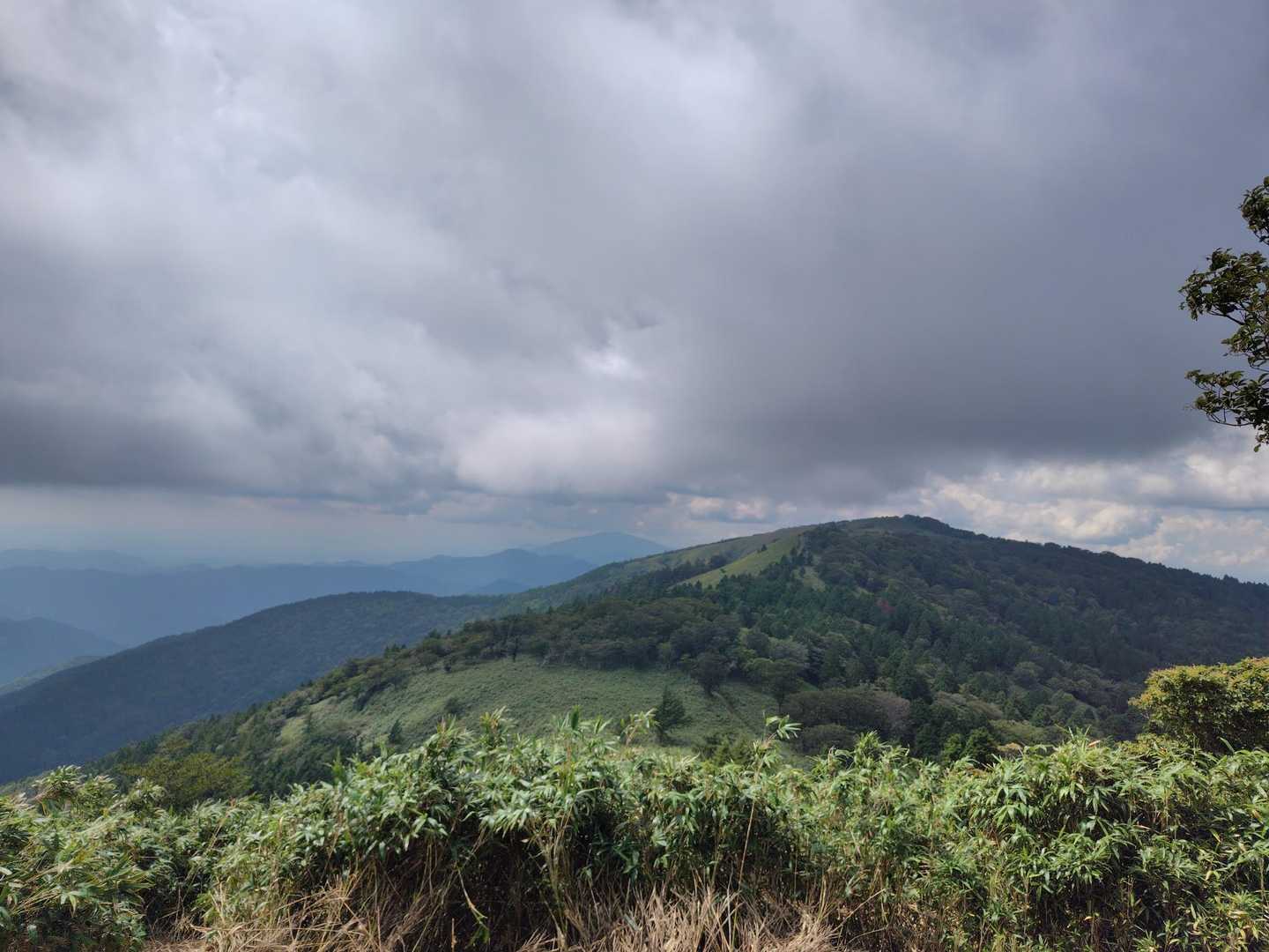 駒の尾山-鍋ヶ谷山-船木山-後山 往復コースの写真