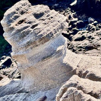 すごい(⸝⸝⸝ᵒ̴̶̷ ⌑ ᵒ̴̶̷⸝⸝⸝)