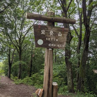宝登山山頂🙌